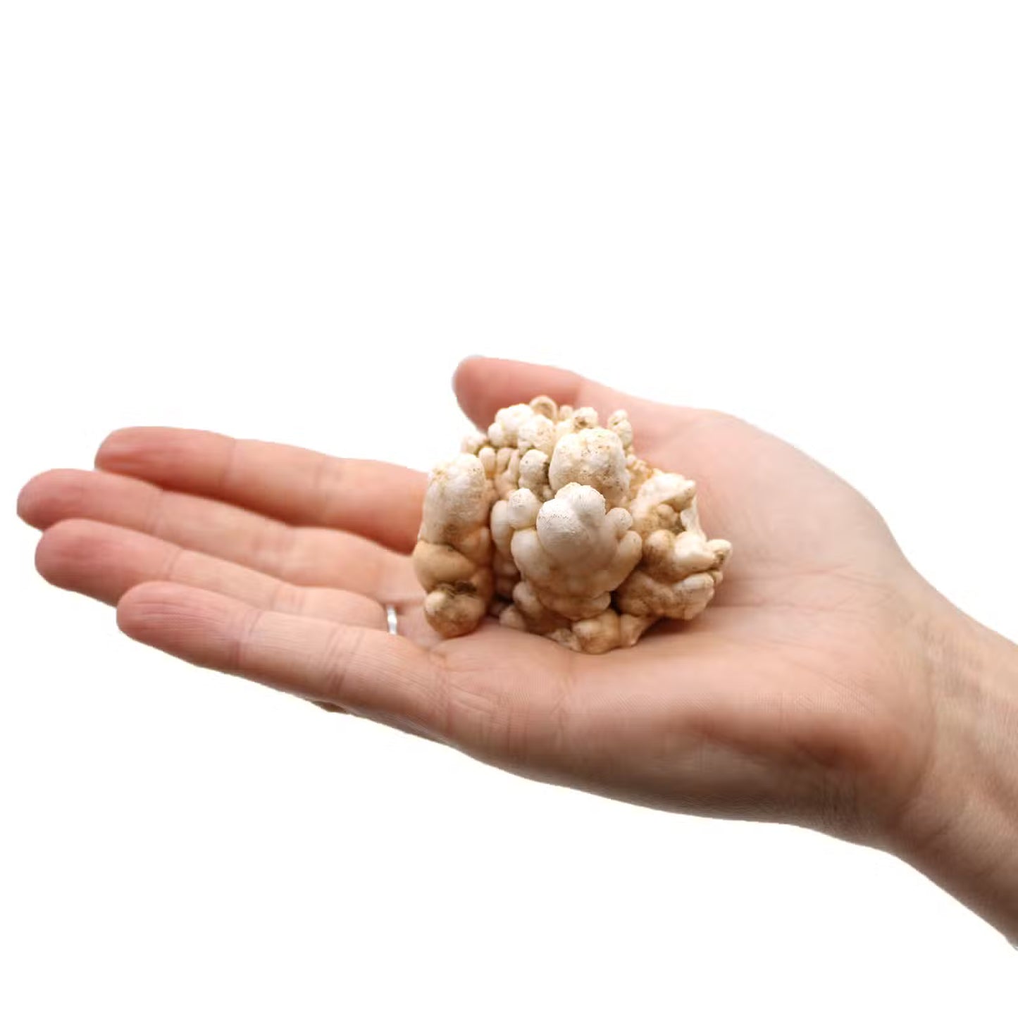 Fingerkvarts – 1 kg pakke (min. 5 stk.)