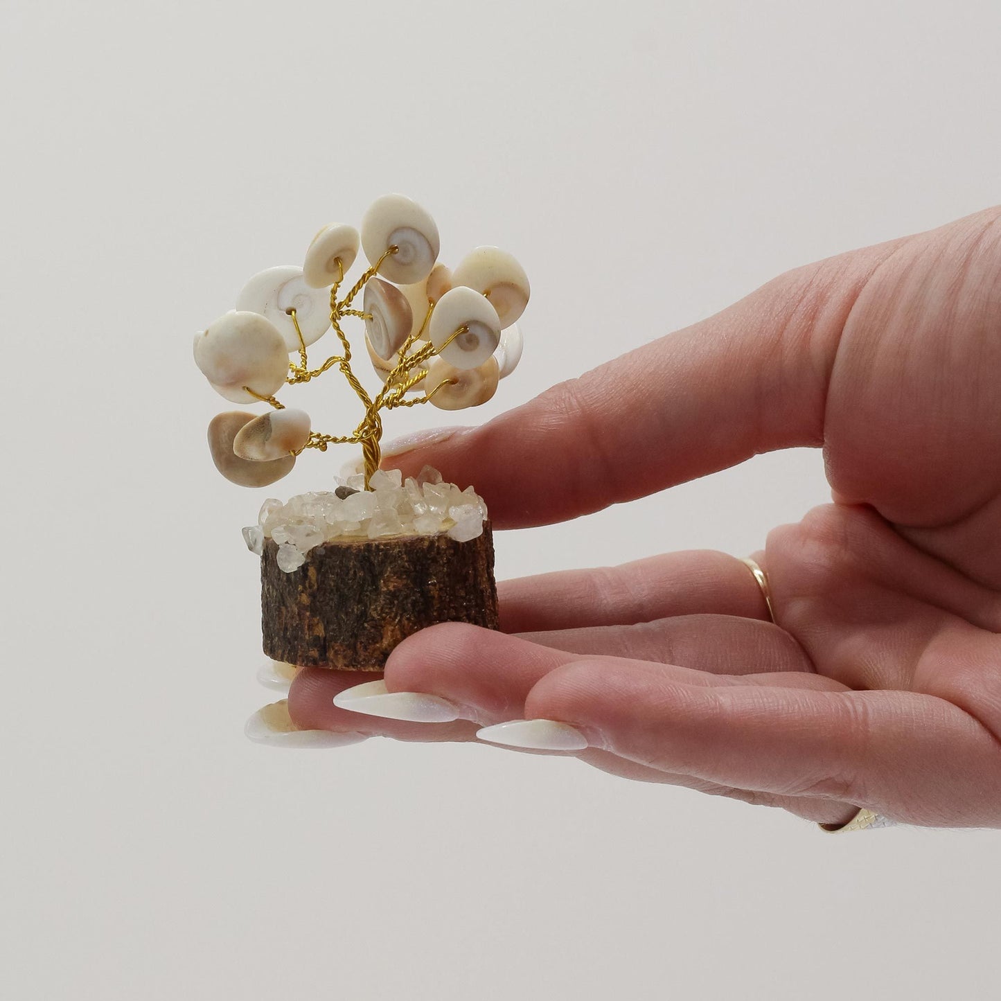 Gomati Chakra Stentræer - 15 stk i æske