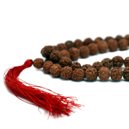 108 Rudraksha mala, brun