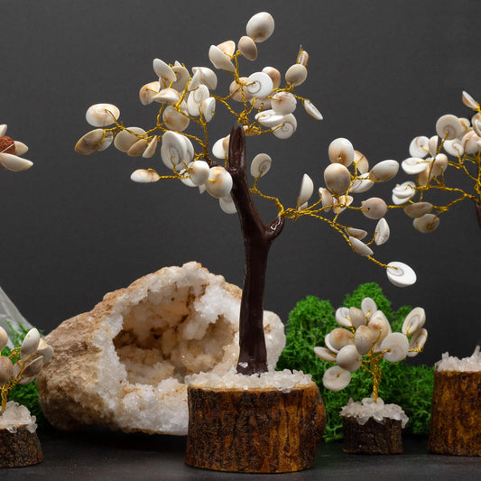 Gomati Chakra Krystaltre - Stor (60 stk)